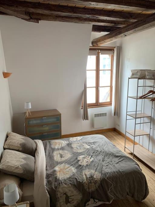 Apartament Aube Berges De Troyes Zewnętrze zdjęcie