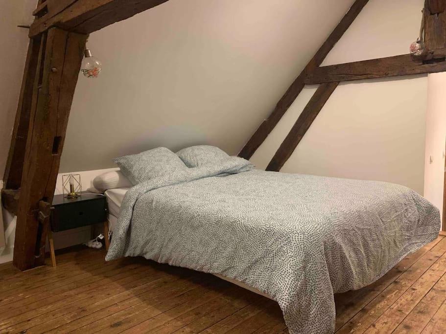 Apartament Aube Berges De Troyes Zewnętrze zdjęcie